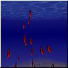 fishflock.jpg