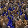 rocks[1].jpg