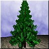 tree.jpg