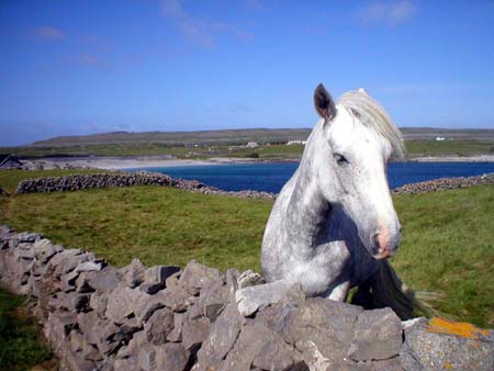 AranIslands13