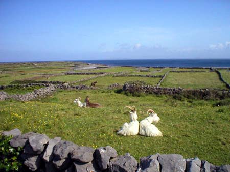 AranIslands16