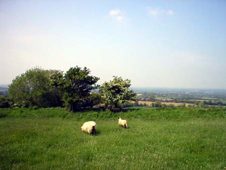 HillofTara5